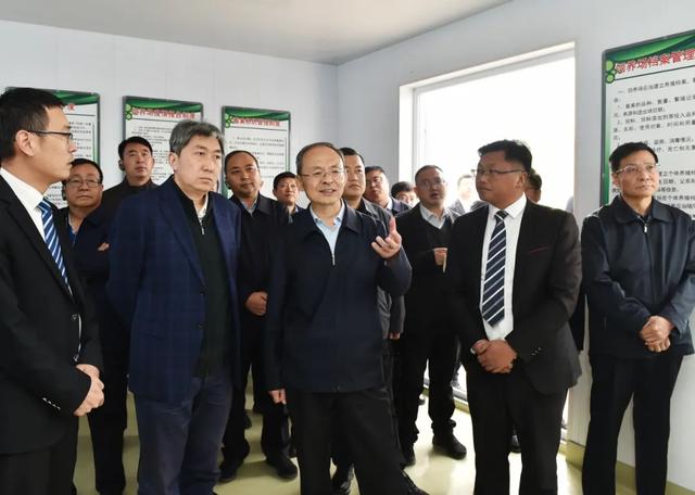 忻州碎石移动破碎机厂家