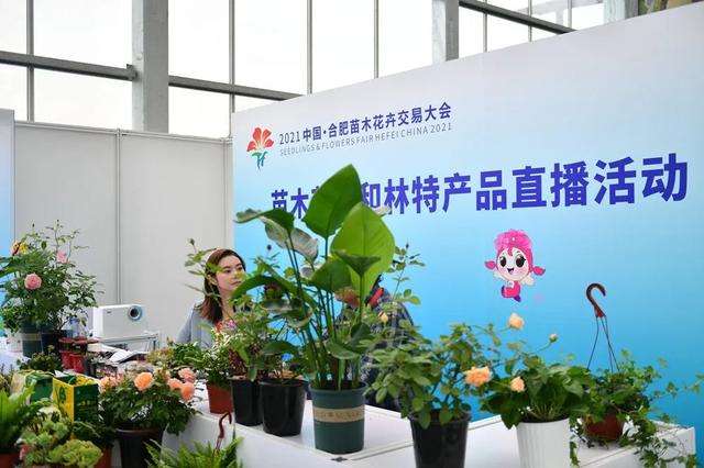 2017合肥园林机械展