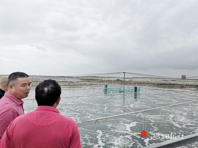 关于吴川石材污泥压滤机的信息