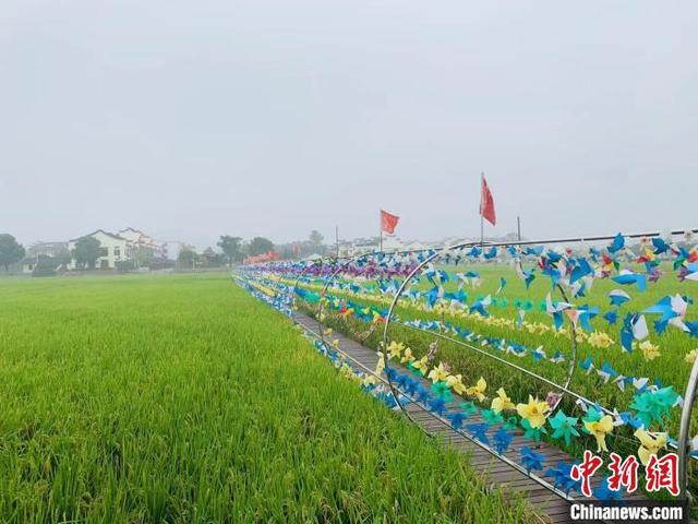 关于郴州风车洗砂机的信息