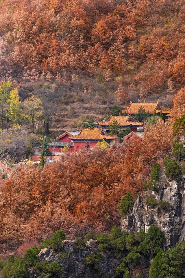 中国最好的地方 中国最好的地方