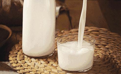 吃面，养胃还是伤胃？原来一直都吃错了