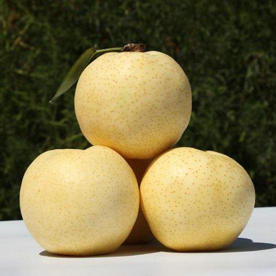 秋天吃梨有哪些好处？煮熟后清肺润燥效果更佳