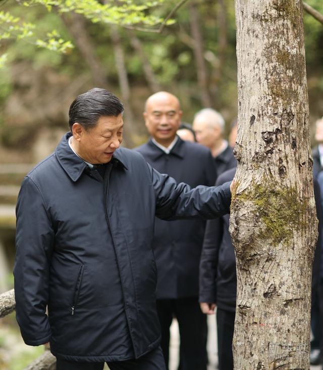 镜观·领航丨母亲河 幸福河——习近平谋划部署这一重大国家战略