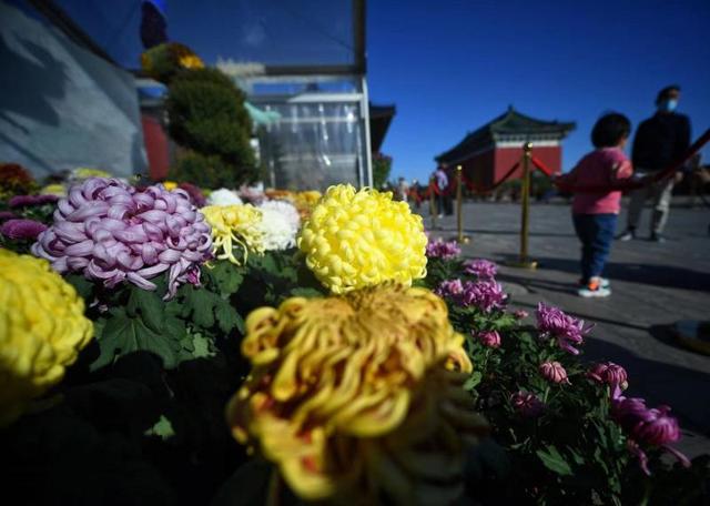 第二十二届北京国际照相机械展