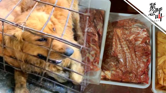 永安印刷包装机械展哪家好