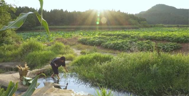 一木一物身体乳怎么样