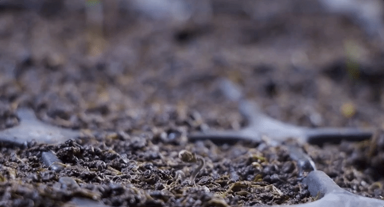 一木一物身体乳怎么样