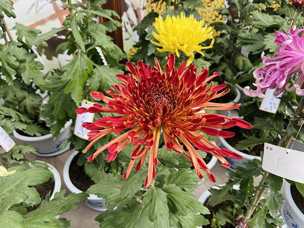 2019上海环保工程展