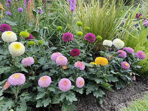 2019上海环保工程展