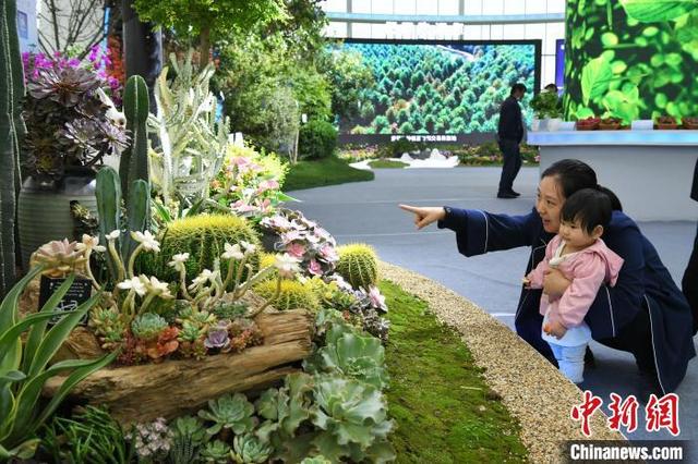 全球最大的林业机械展