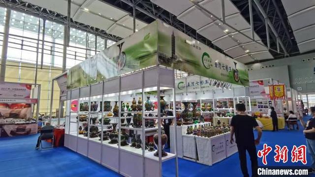 广州琶洲展会动漫展工程机械