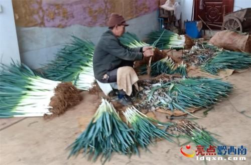 乌沙