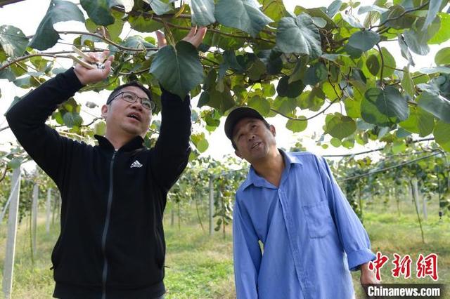 包含安徽振动分选螺旋洗砂机供货商的词条