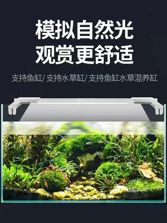 养龟的过滤机多少钱
