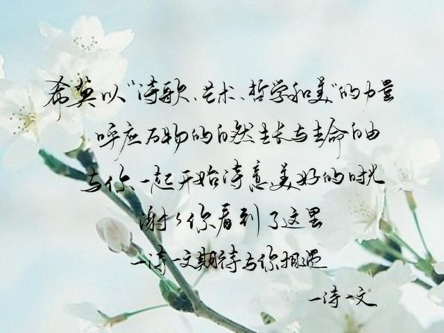 温柔和秒回是最让人心动的特质了吧！这些温柔的句子和小诗赠你