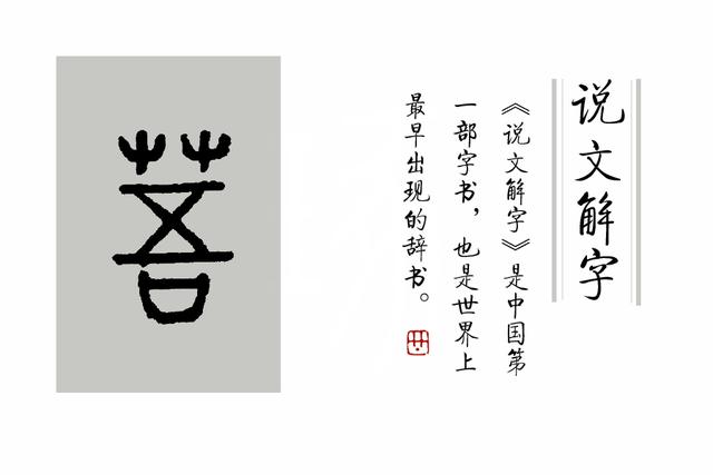 緌的读音