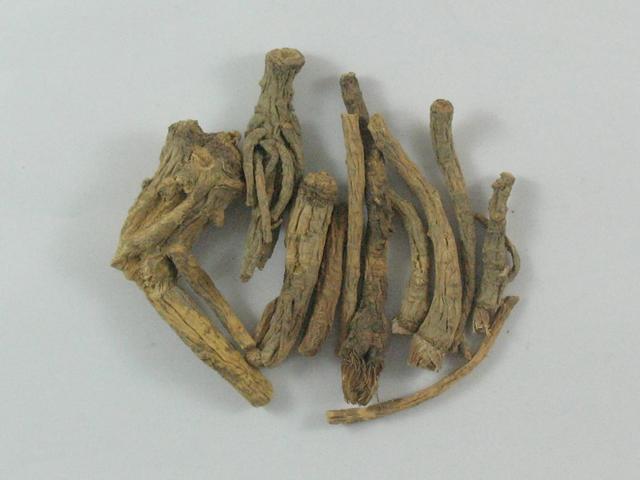 中药古今研究：前胡