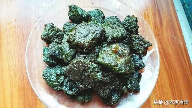 农村一种叫“假蒌”的植物，曾是古代一种香料，如今却成美味野菜5