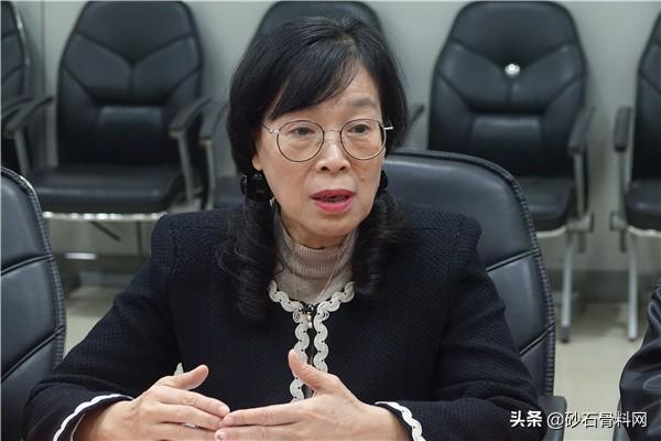 制砂机厂立项报告