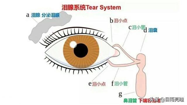 眼角化脓用针挑破