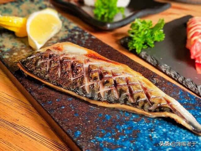 黑瓜子鱼属于什么鱼,黑瓜子鱼学名叫什么