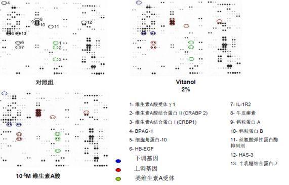 rxr身体乳评测