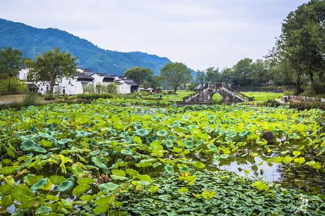 八卦村