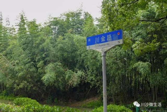川沙川展路上的工程