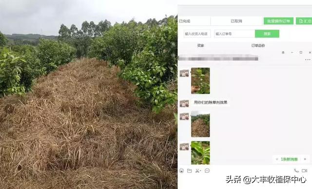 果园除草用这种方法，效果比百草枯还好！