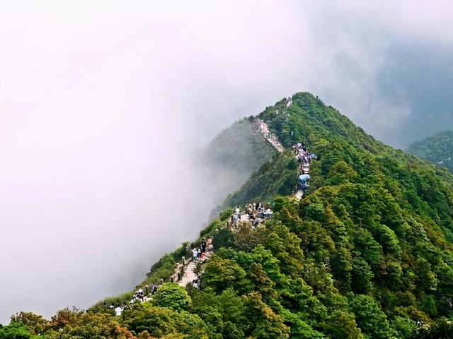 深圳4大“美景”徒步线路，有山有水还有海滩，你都去过吗？