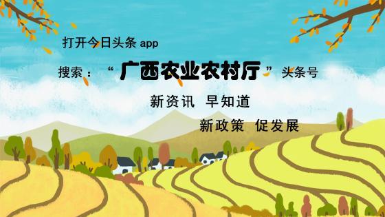 南宁食品机械展