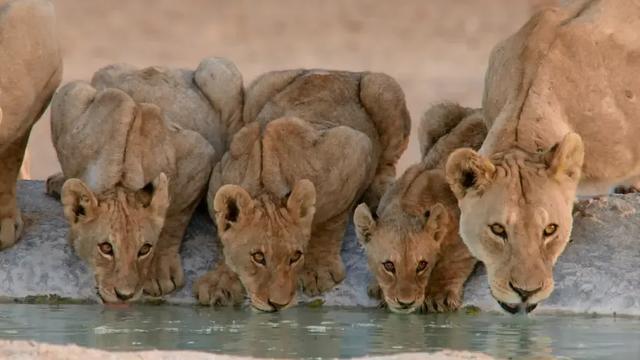 涨知识！学了这么多育儿技巧，竟然还不如他们更懂孩子