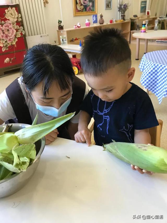 「童心童语分享」你应该知道的蒙氏关键词