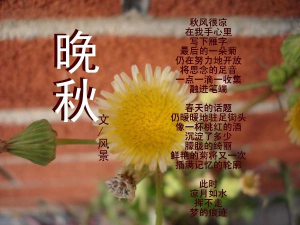 秋的喜悦与感伤……