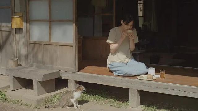 体面的意思