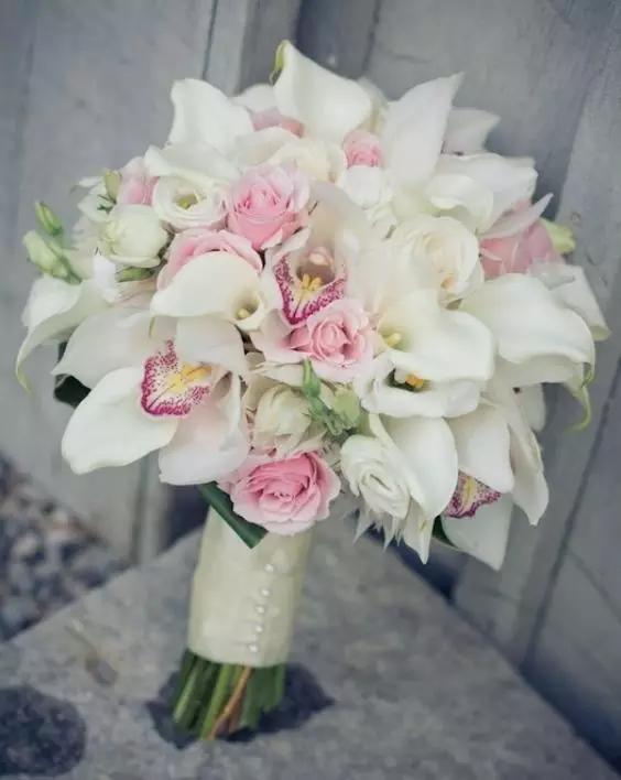 马蹄莲花语 马蹄莲花语（马蹄莲花语象征与寓意） 生活