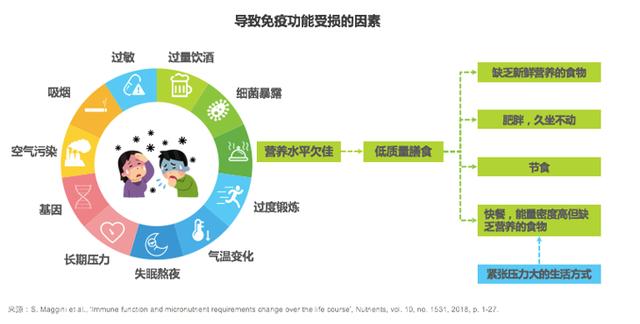 “妈妈，为什么我们会生病？”23张图给孩子解释：我们的身体