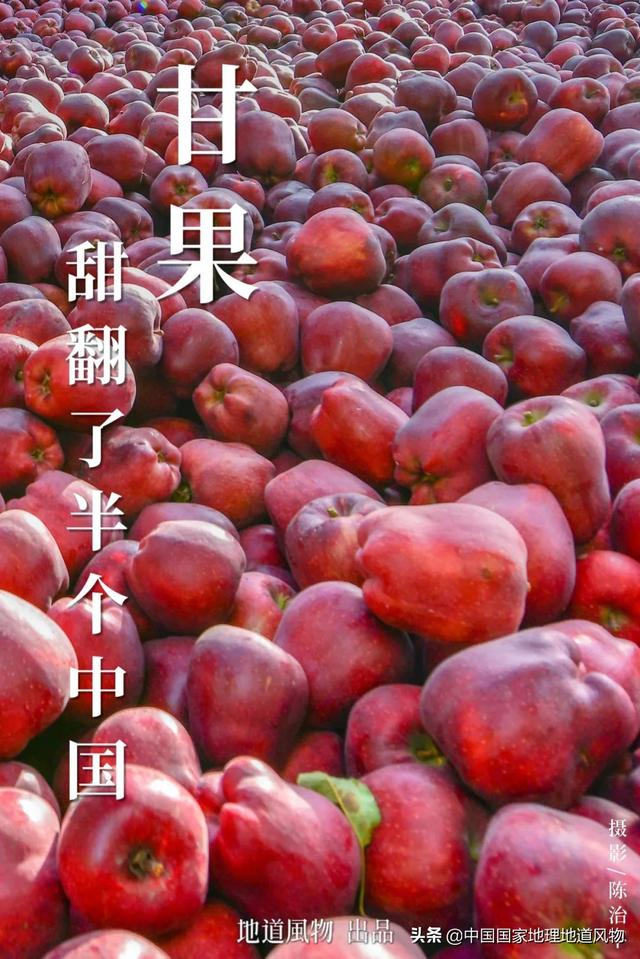 定西洗砂机价格的简单介绍