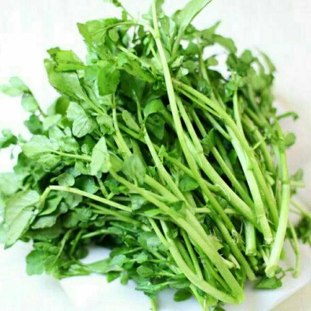 入冬后记得给孩子吃7种绿叶菜，维生素K含量高，价格也不贵