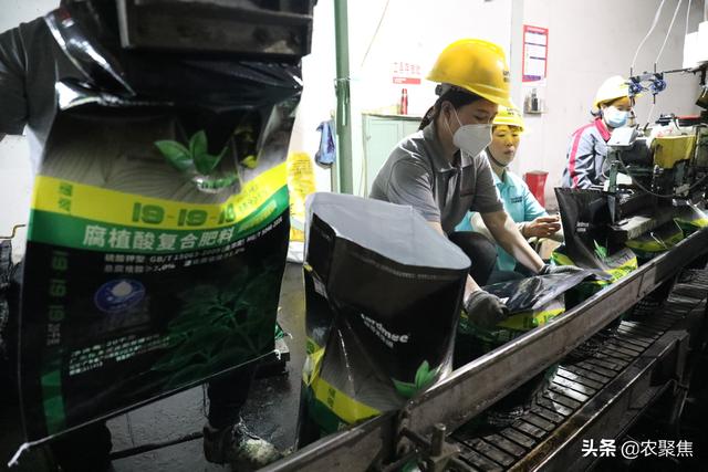 冬储春销肥价是涨还是跌？