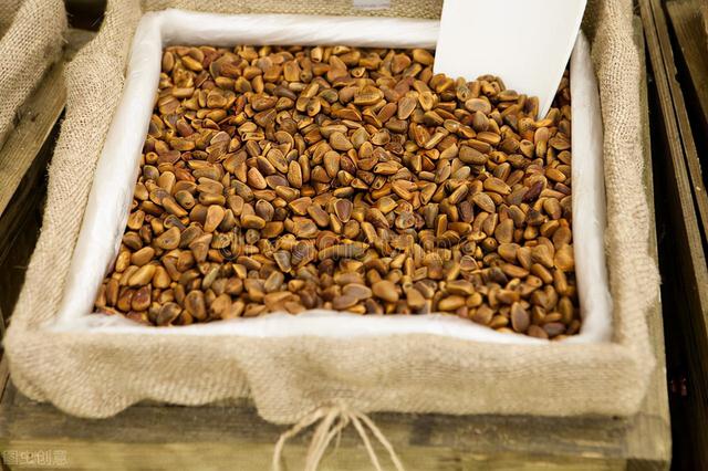 小小的松子，美味酥香之外，还有人间疾苦和大自然的魅力