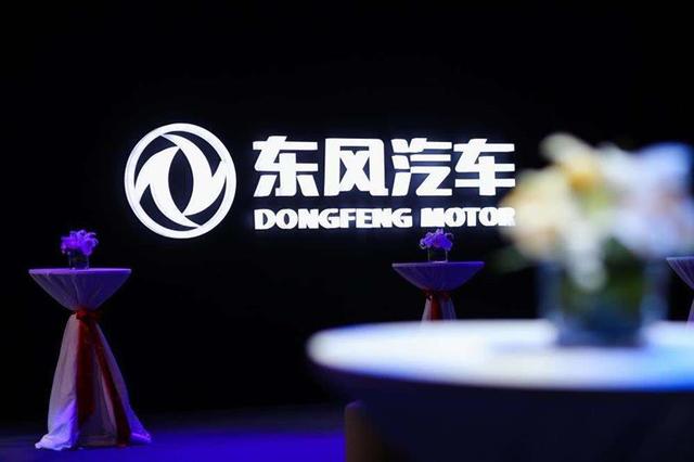 东风岚图卢放：汽车江湖没义气