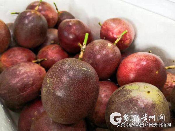 贵阳市果蔬机械展