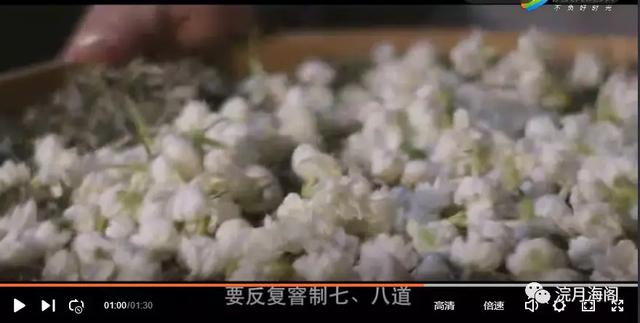 茉莉花茶价格