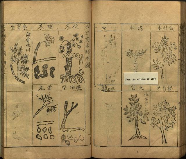 李时珍著《本草纲目》插图卷·下卷
