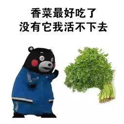 der是什么意思