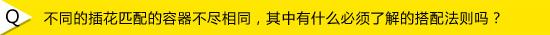 怎么学插花