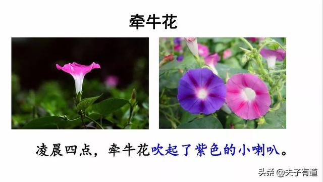 芳组词