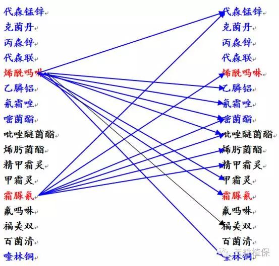 霜霉病用药方案2